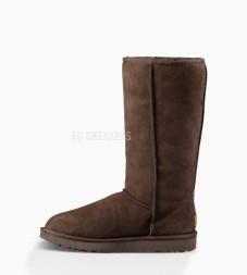 Classic Tall Chocolate II