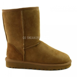 Men's Classic Short II Chestnut
