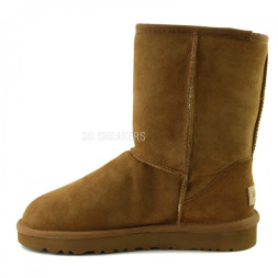 Men's Classic Short II Chestnut